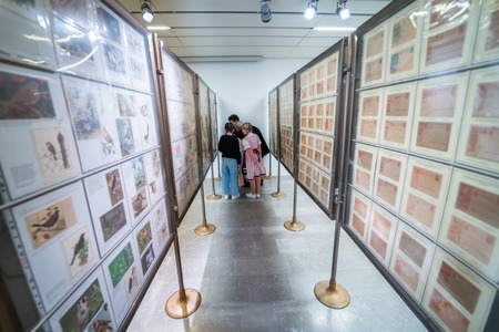 Maksi Ravne 2026 (11)